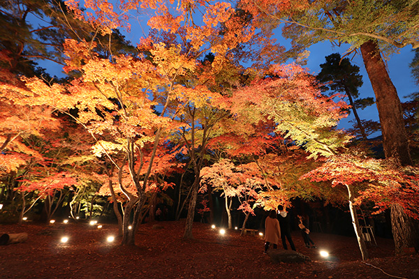 月の石もみじ公園