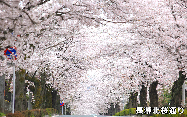 長瀞北桜通り